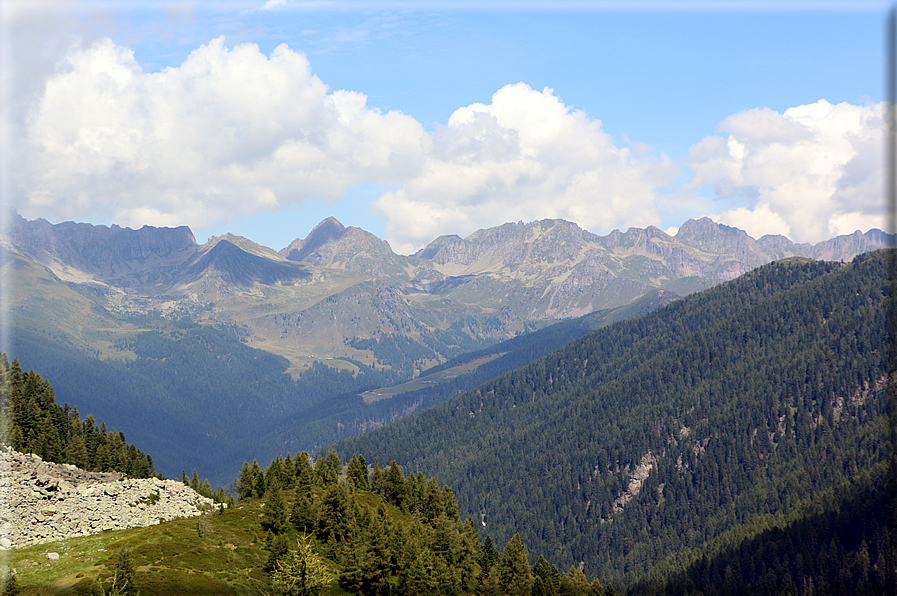 foto Forcella delle Tavarade